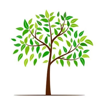 Green tree with leaves Stock Illustration