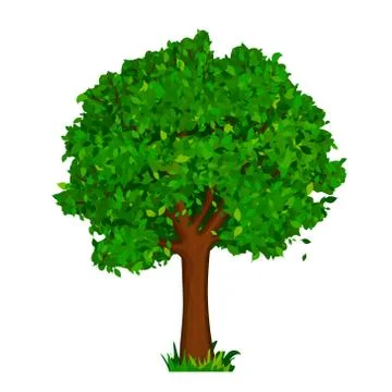Green tree with leaves Stock Illustration