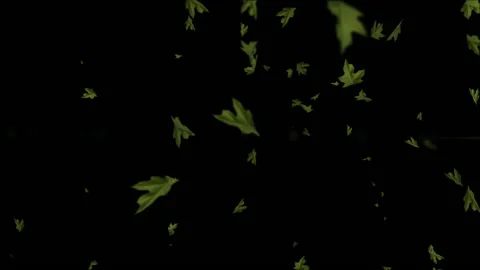 Green tree leaves particle animation Stock Footage 146152384