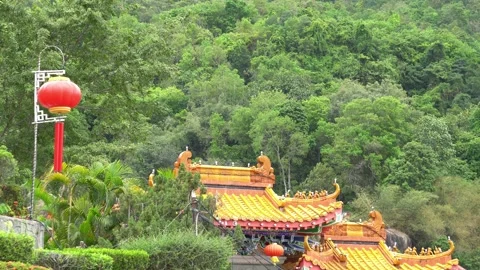 Green tree leaves swaying in wind near chinese temple Stock Footage 197012765