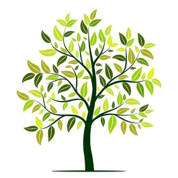 Green tree with leaves vector Stock Illustration