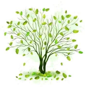 Green tree with leaves vector Illustrazione stock