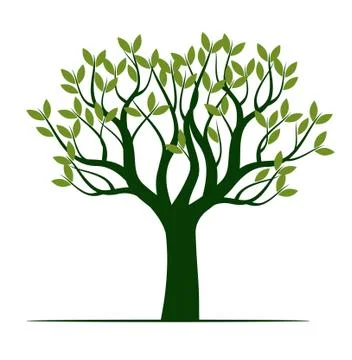 Green Tree with Leaves. Vector outline Illustration. Plant in Garden. Illustrazione stock