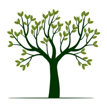 Green Tree with Leaves. Vector outline Illustration. Plant in Garden. 스톡 일러스트