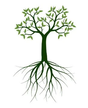 Green Tree with Leaves. Vector outline Illustration. Plant in Garden. 스톡 일러스트