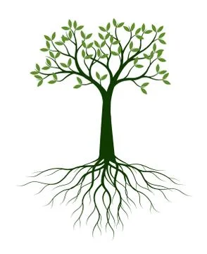 Green Tree with Leaves. Vector outline Illustration. Plant in Garden. Stock Illustration