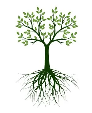 Green Tree with Leaves. Vector outline Illustration. Plant in Garden. Illustrazione stock