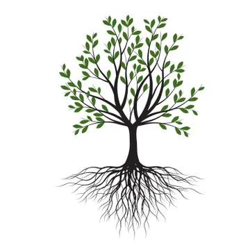 Green Tree with Leaves. Vector outline Illustration. Plant in Garden. Stock Illustration