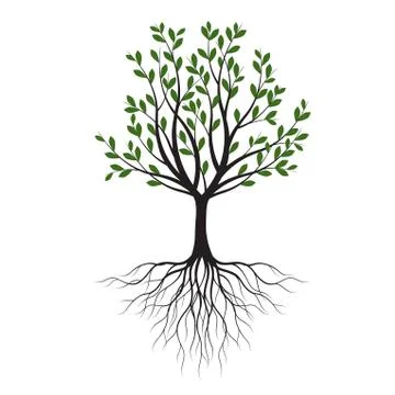 Green Tree with Leaves. Vector outline Illustration. Plant in Garden. Illustrazione stock