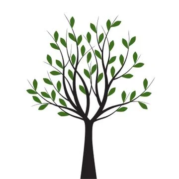 Green Tree with Leaves. Vector outline Illustration. Plant in Garden. Illustrazione stock