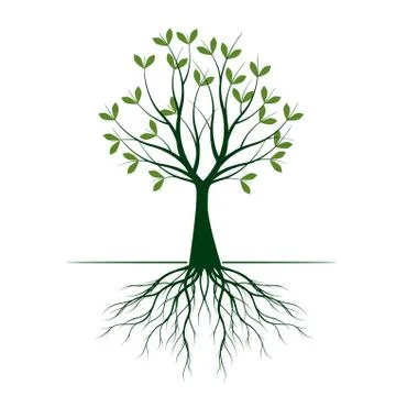 Green Tree with Leaves. Vector outline Illustration. Plant in Garden. 스톡 일러스트
