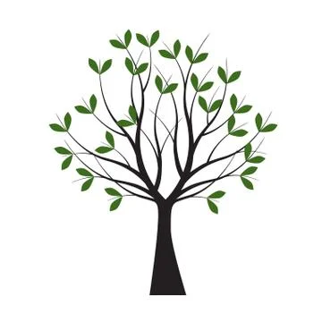 Green Tree with Leaves. Vector outline Illustration. Plant in Garden. Illustrazione stock