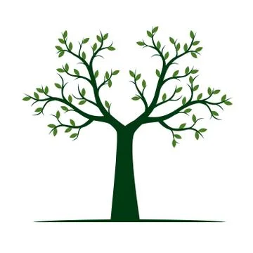 Green Tree with Leaves. Vector outline Illustration. Plant in Garden. 스톡 일러스트