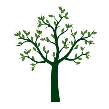 Green Tree with Leaves. Vector outline Illustration. Plant in Garden. 스톡 일러스트