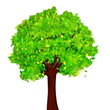 Green tree with leaves on white background vector Stock Illustration