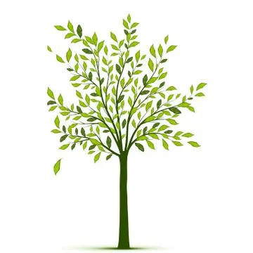 Green tree with leaves on white background Stock Illustration