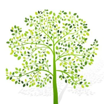 Green tree with leaves on white background vector Stock Illustration