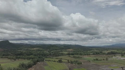 Green Tree-Lined Farm Paths and Divided Fields From Above, Tropical Valley .. Video stock 337013127