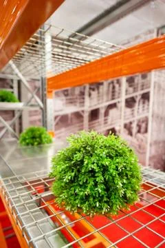 Green tree on the logistic warehouse, logistics concept, ecological concept,  Foto stock