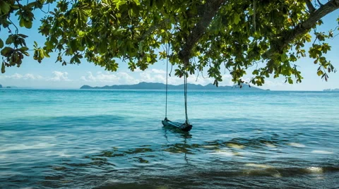 Green tree with lonely swing and sea Stock Footage 59668219