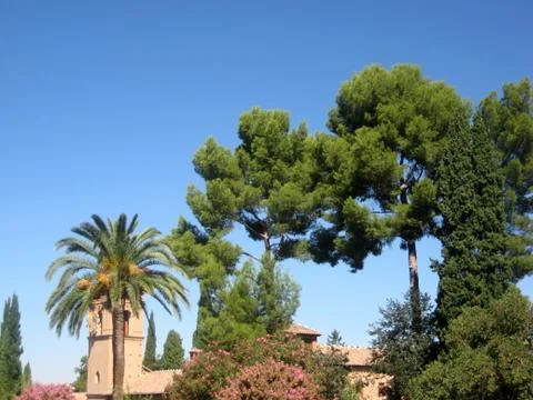 Green tree Stock Photos