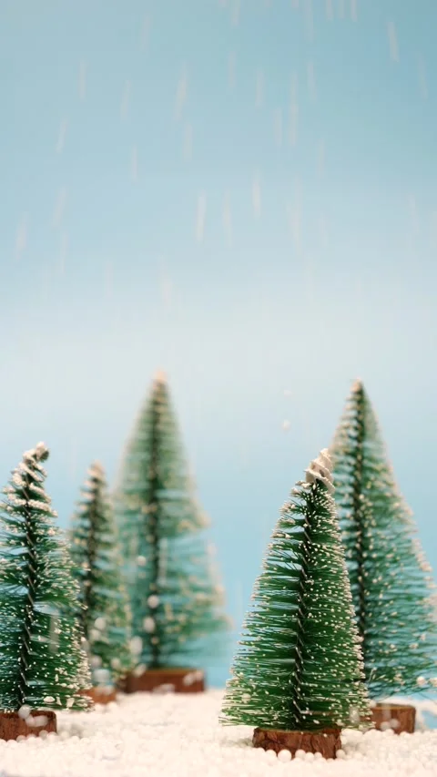 Green tree pines with snow on top and snowflake falling with slow motion Stock Footage 236825255