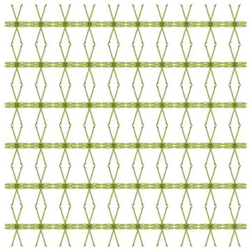 Green tree python, Morelia viridis, in repeated pattern, in front of white ba Photos