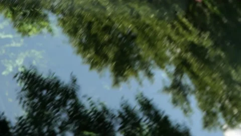 Green Tree Reflection on Car Windshield 4K 60fps 10-bit Stock Footage 197077713
