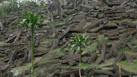 Green Tree with rock formation at Megalithic sites Gunung Padang, Indonesia Stock Footage 258279329