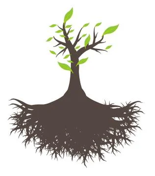 Green tree root Stock Illustration