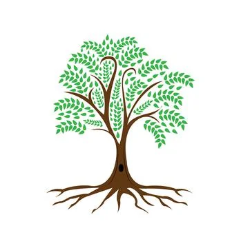 Green tree with roots Illustrazione stock