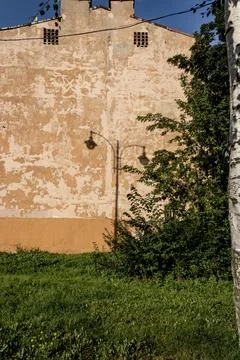 A green tree, the shadow of a lantern against the background of a wall Stock Photos