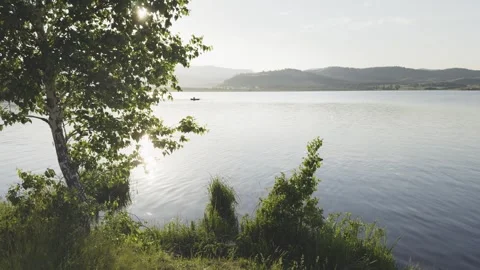Green tree on the shore of lake at sunset. Boat floating on the lake. Stock Footage 278650234