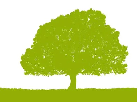 Green tree silhouette on white background Illustrazione stock