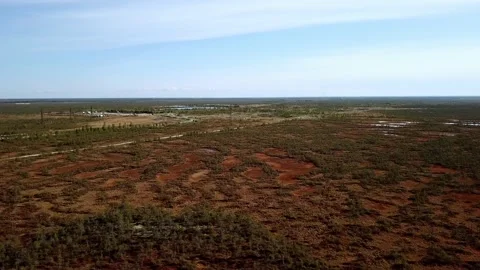 Green tree from the sky Stock Footage 160911616