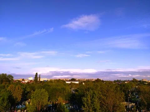 Green tree top line over blue sky and clouds background in summer, copy space Stock Photos