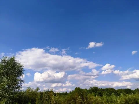 Green tree top line over blue sky and clouds background in summer, copy space Stock Photos