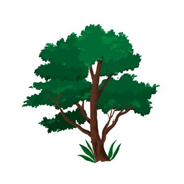 Green tree vector cartoon illustration with big trunk, green lush foliage Stock Illustration