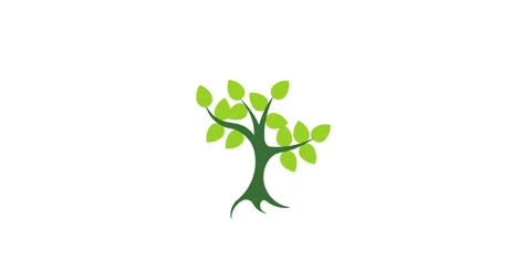 Green tree on a white background Stock Footage 220023341