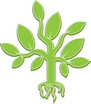 Green tree on a white background Stock Illustration