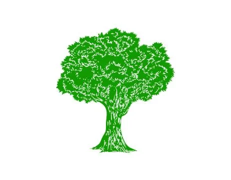 Green tree on white 스톡 일러스트