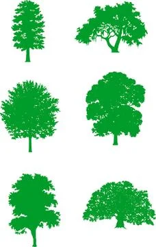 Green trees Abstract vector illustration: green trees Copyright: xZoonar.c... Stock Photos