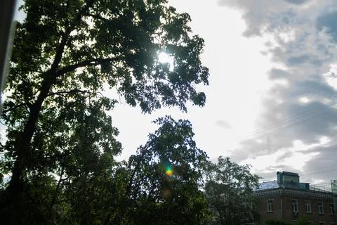 Green trees against a bright cloudy sky with sun rays and city building Stock Photos