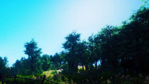 Green trees along a path under a bright blue sky in daytime Stock Footage 342810745