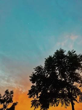 Green trees and a cloudy blue and orange sky Stock Photos