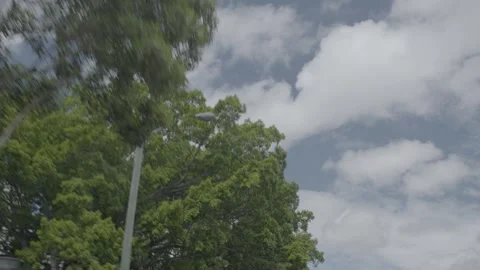 Green Trees and Crane Against Cloudy Sky Along Road in Sydney New South Wales Au Stock Footage 341677144
