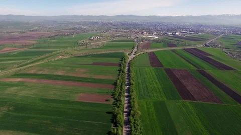 Green trees and fields Stock Footage 129631529