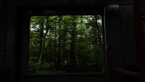 Green Trees and Forests Outside the Moving Bus Window Stock Footage 319809383