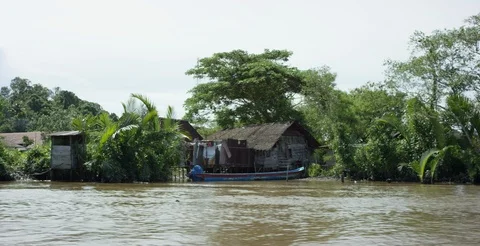 Green trees and huts along the river Video stock 85761007
