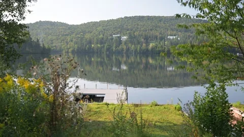 Green trees and lake view Stock Footage 297792505